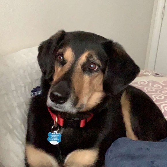 Meet your Posher, Kaila - Picture 1 of 1